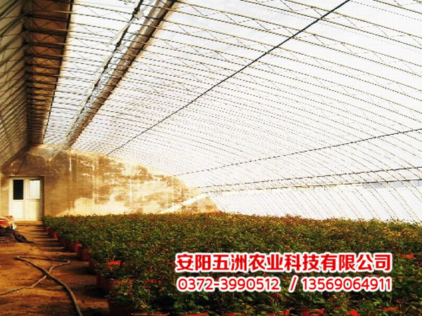 溫室大棚 溫室大棚